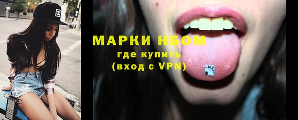 ГАЛЛЮЦИНОГЕННЫЕ ГРИБЫ Гусь-Хрустальный