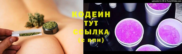 ГАЛЛЮЦИНОГЕННЫЕ ГРИБЫ Гусь-Хрустальный