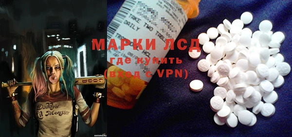 ГАЛЛЮЦИНОГЕННЫЕ ГРИБЫ Гусь-Хрустальный