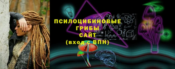 ГАЛЛЮЦИНОГЕННЫЕ ГРИБЫ Гусь-Хрустальный