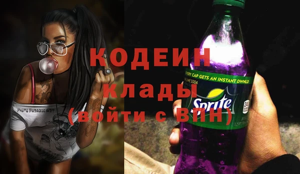 прущие грибы Дмитриев